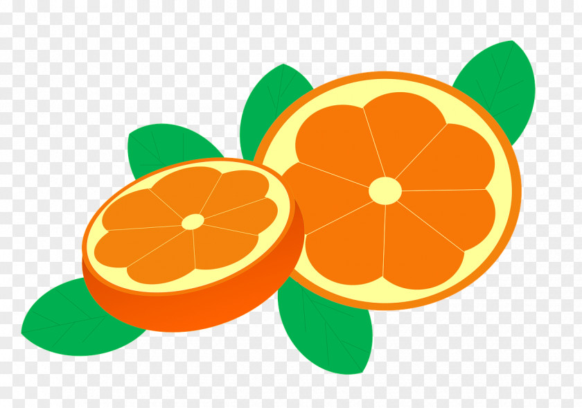 Orange Mandarin Juice Food PNG