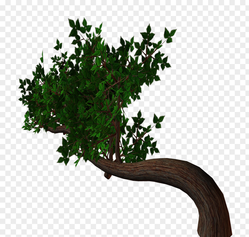 Painting Landscape Tree Clip Art PNG