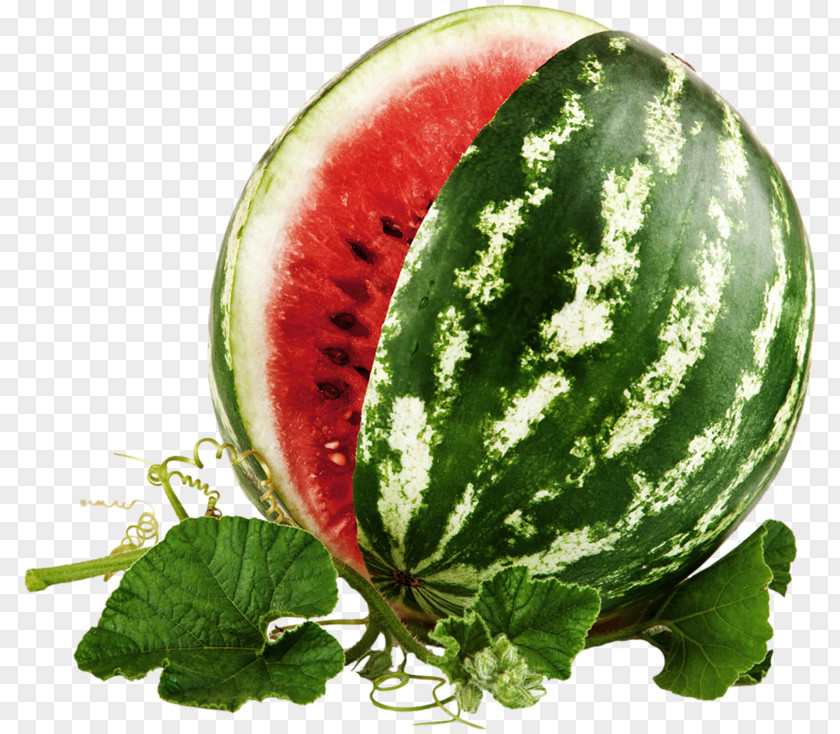 Watermelon Frutti Di Bosco Citrullus Lanatus Berry Muskmelon PNG