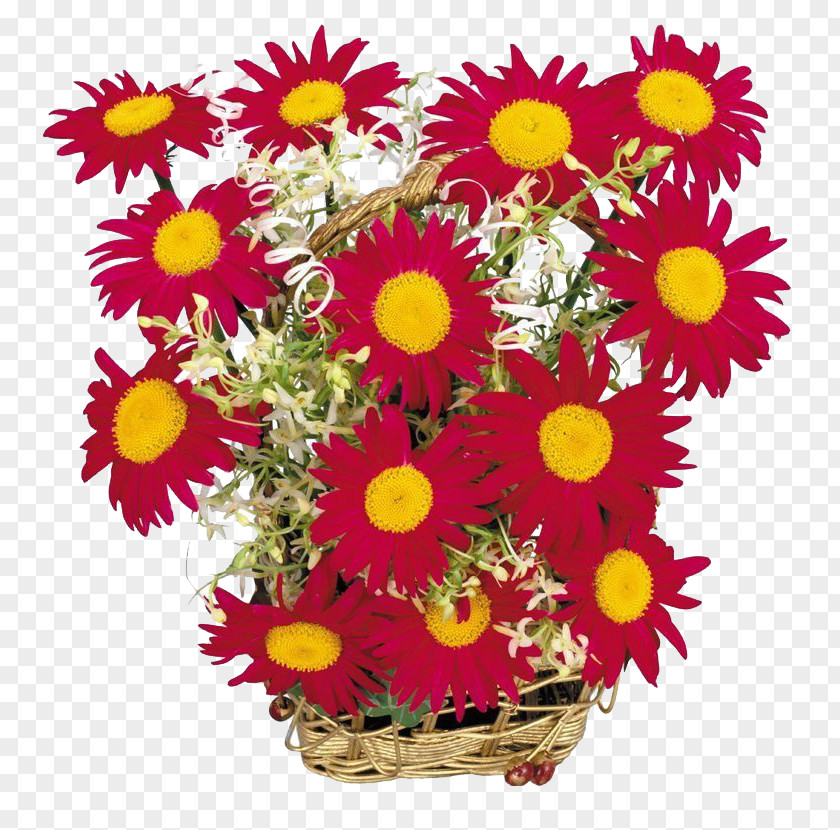 Bouquet Of Red Chrysanthemums Chrysanthemum Floral Design Transvaal Daisy Cut Flowers Flowerpot PNG