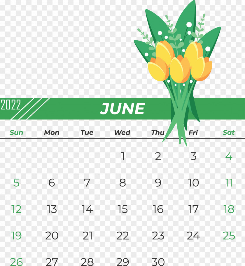 Calendar Drawing Line Painting Line PNG