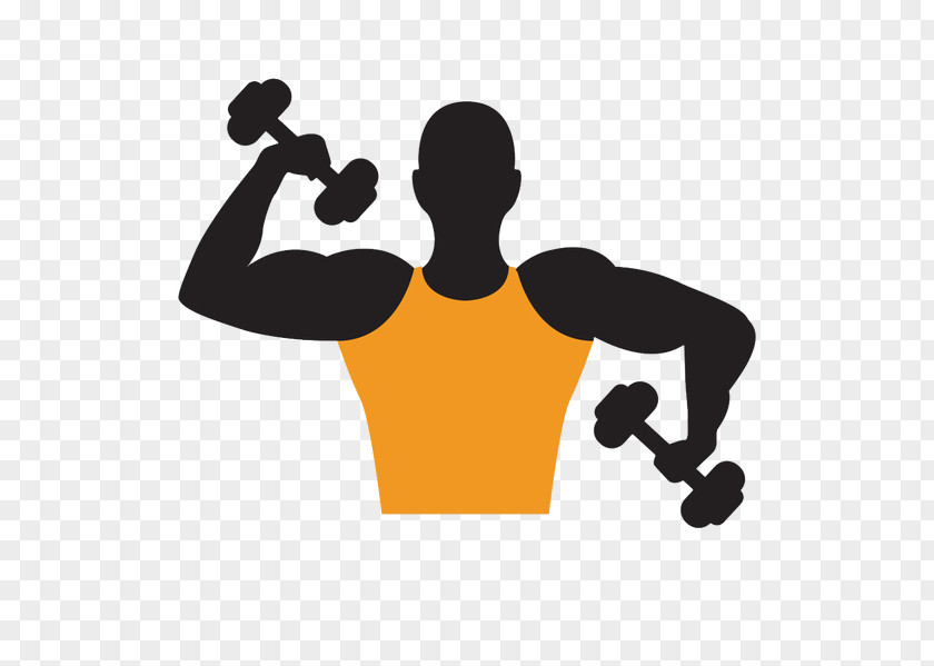 Cartoon Material Dumbbell Bodybuilding Olympic Weightlifting PNG