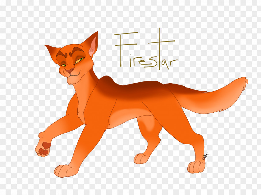 Cat Whiskers Red Fox Art Gray Wolf PNG