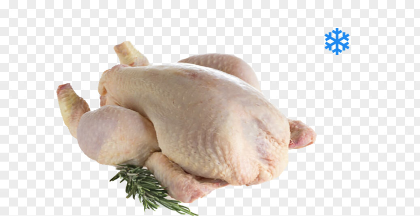 Chicken Roast As Food Poultry Broiler PNG