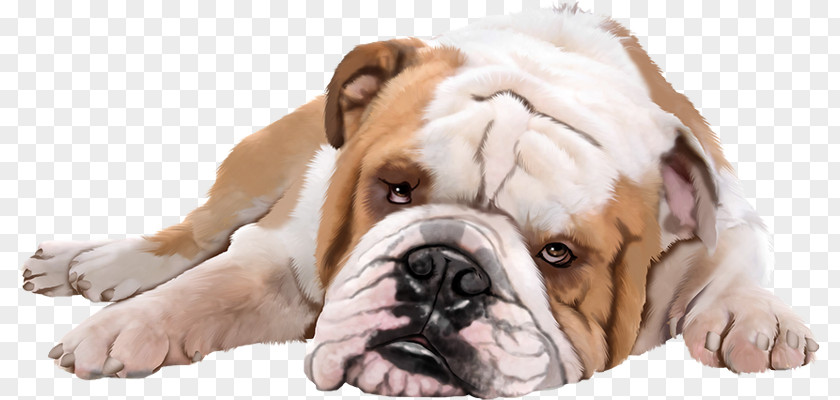 Dog Puppy Pet PNG