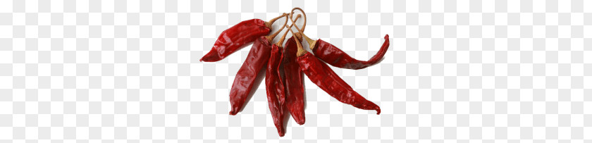 Dried Red Chili PNG Chili, red chilli pepper clipart PNG
