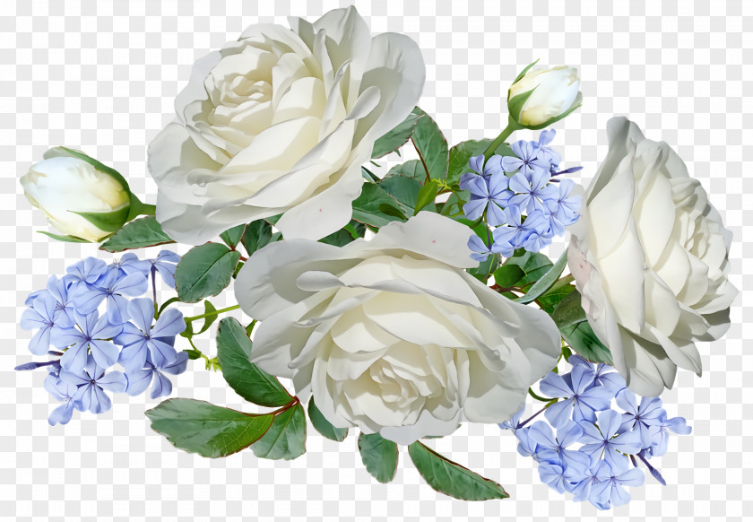 Garden Roses PNG