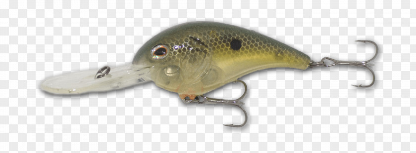 Ghost Spoon Lure Perch Trophy Technology PNG