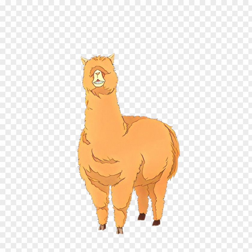 Tail Fawn Llama Cartoon PNG