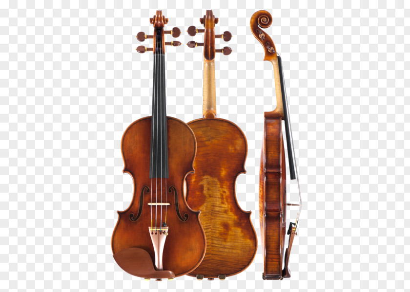 Violin Musical Instruments String Amati Cello PNG