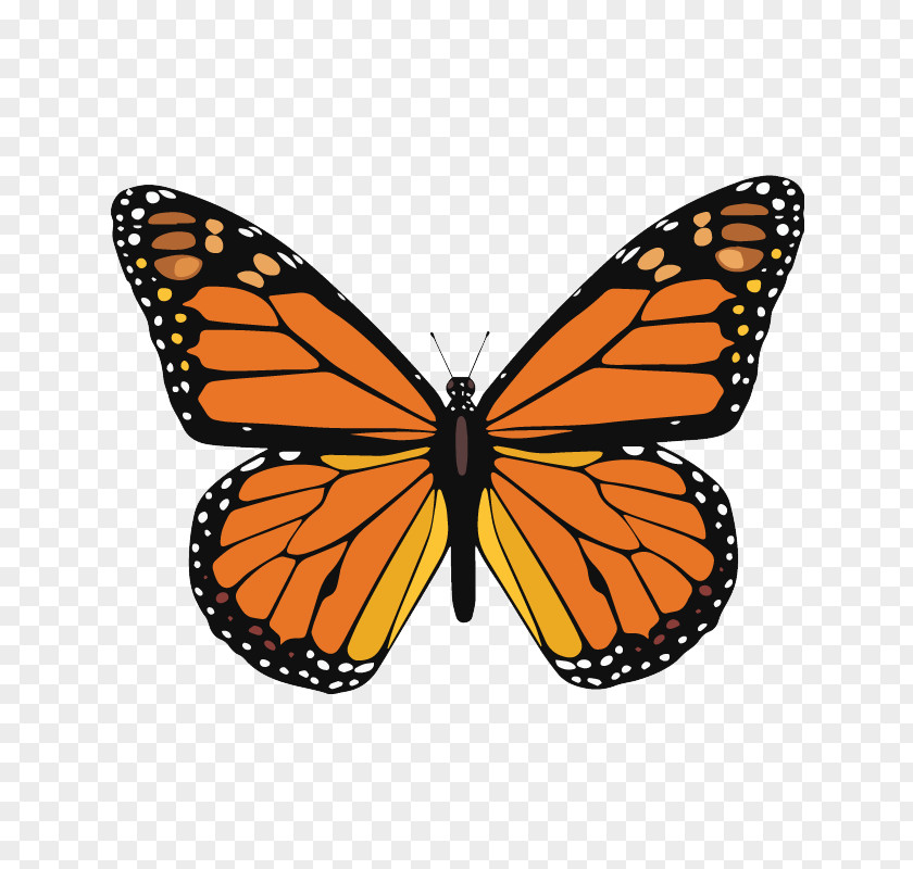 Butterfly Monarch Multiple Sclerosis Clip Art PNG