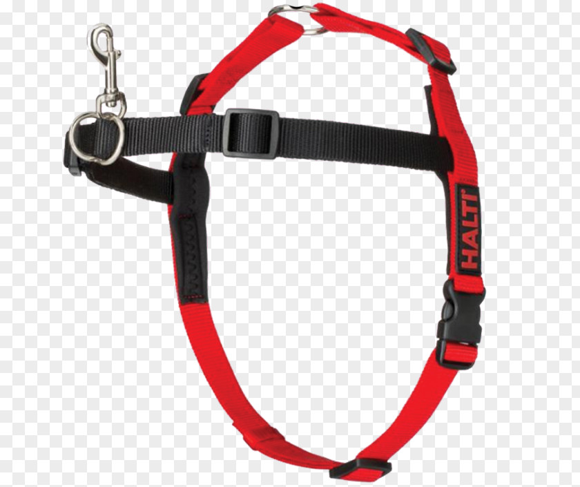 Dog Harness Halter Horse Harnesses Collar PNG