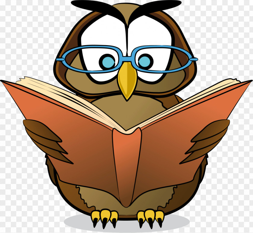 Owl Reading Free Content Clip Art PNG