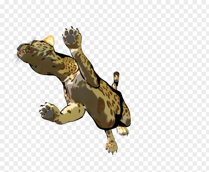 Turtle Tortoise Amphibian Terrestrial Animal PNG