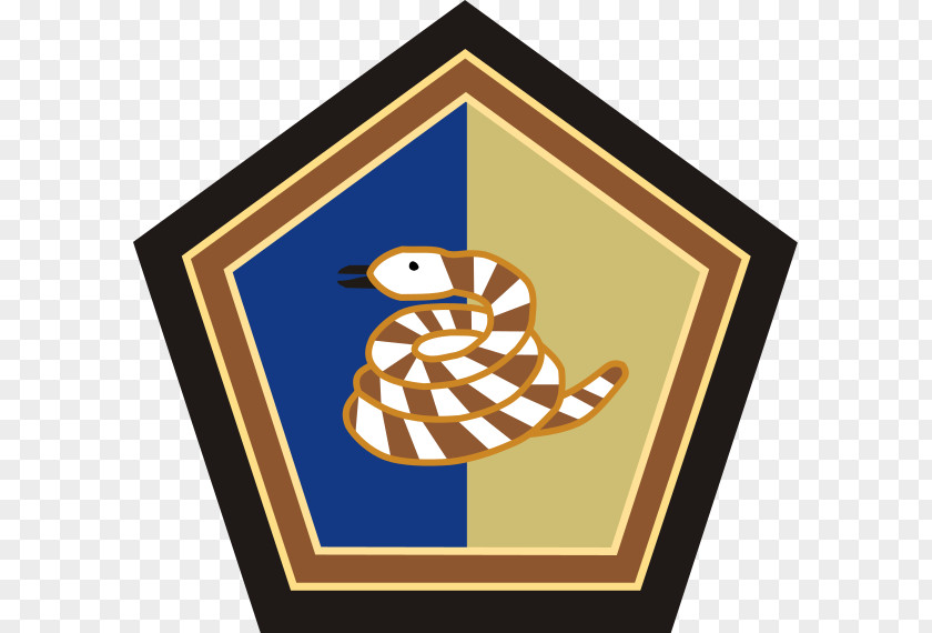 United States Army 51st Infantry Division Regiment PNG