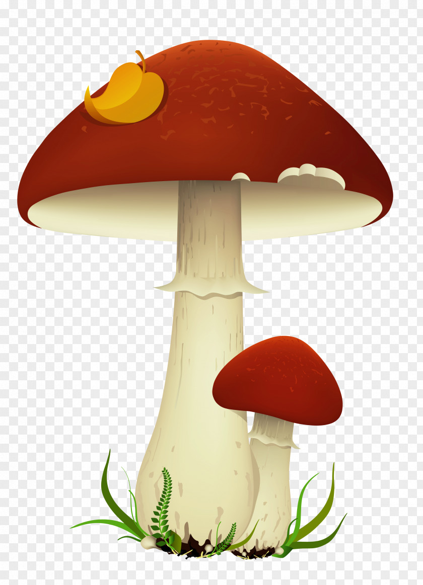 Fall Mushrooms Transparent Picture Mushroom Clip Art PNG