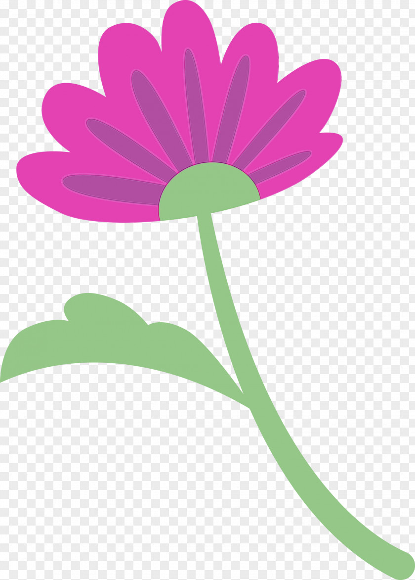 Flower Daisy Family Plant Stem Leaf Petal PNG