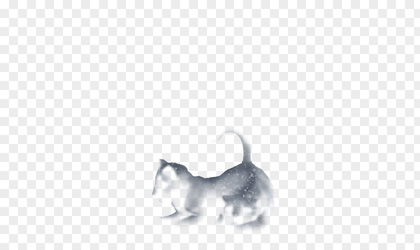 Kitten Whiskers Rat Dog White PNG
