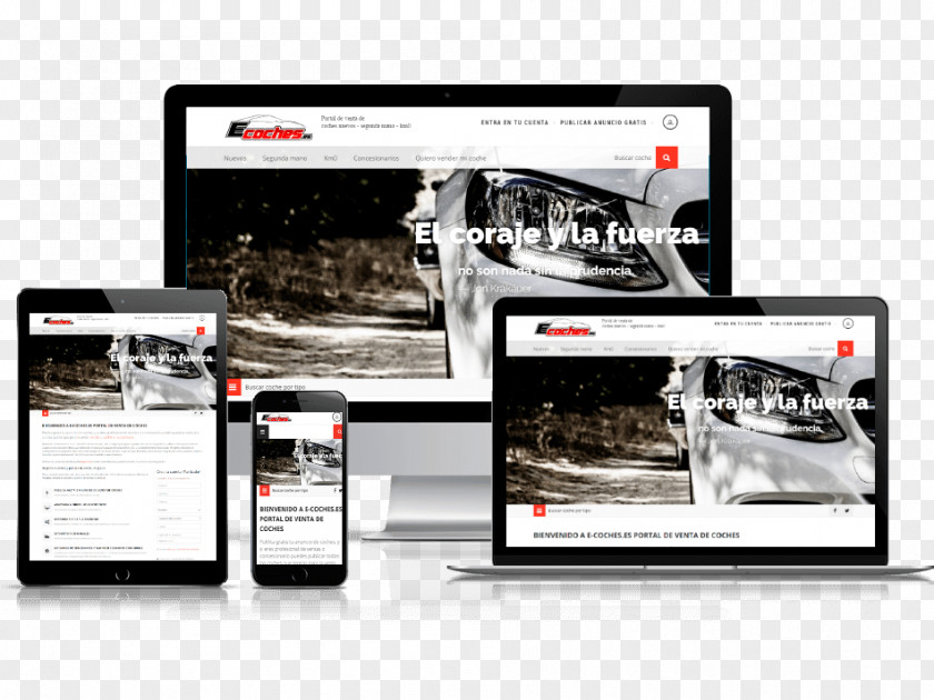 Web Design Development Responsive Page Dcm-web PNG