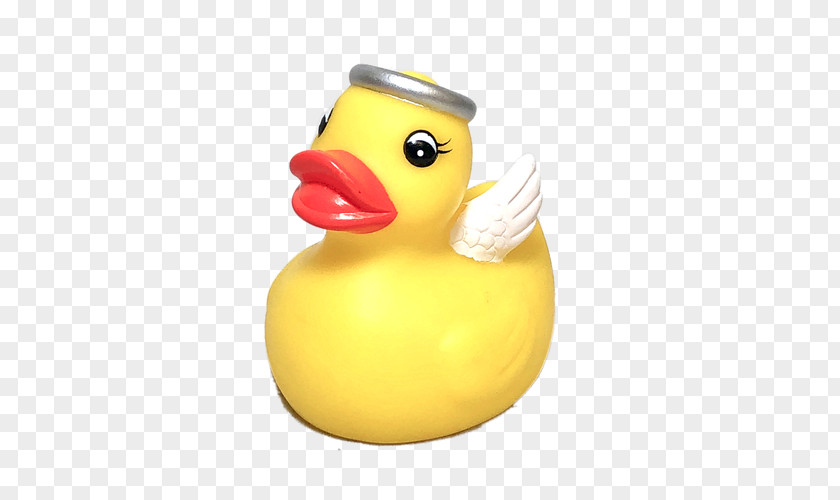 Duck Material PNG