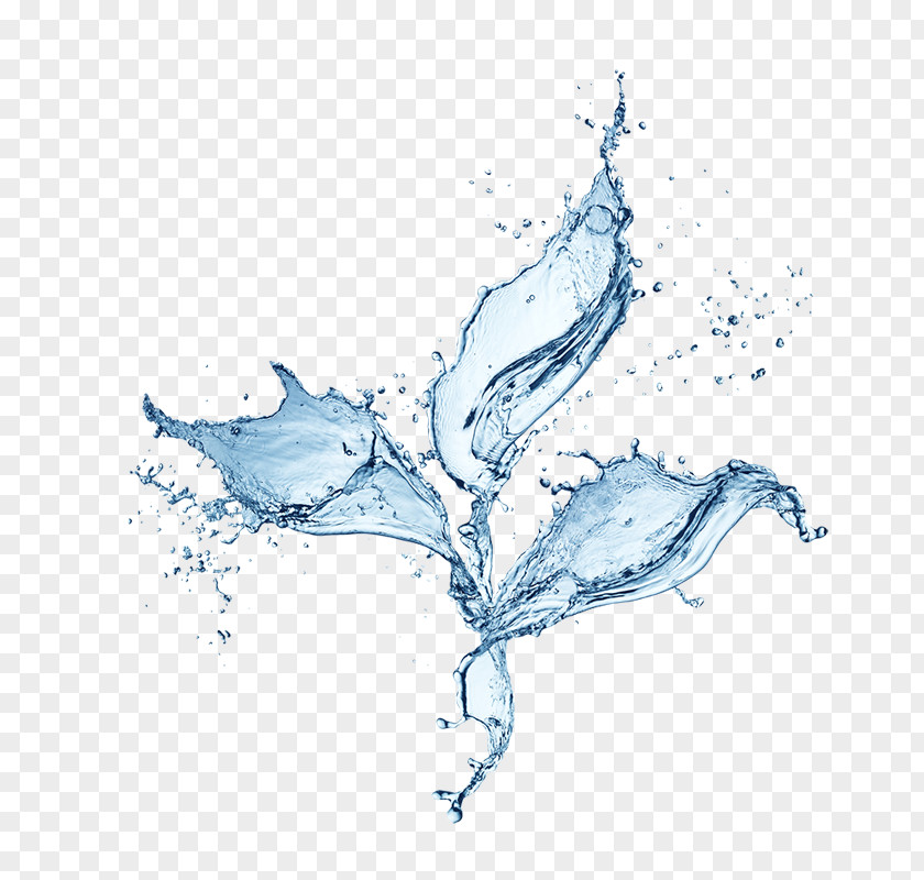 Dynamic Watermark,element Water Drop Splash PNG