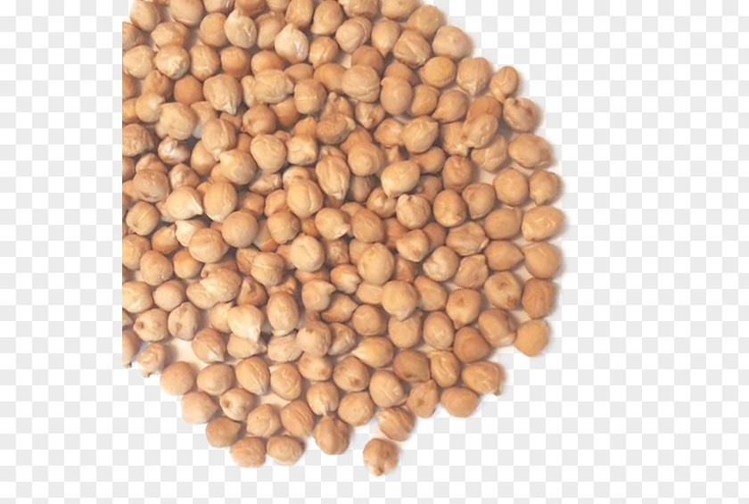 Vegetable Chickpea Legume Hazelnut Commodity PNG