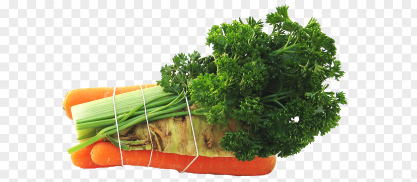 Vegetable Parsley Mirepoix Mixed Soup Herb PNG