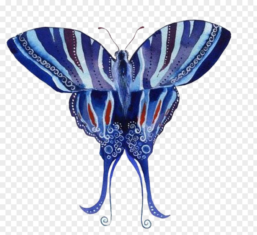 Blue Butterfly Moth PNG
