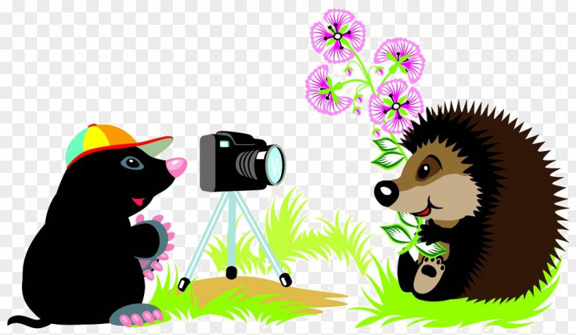 Cartoon Hedgehog Camera Material European Mole PNG