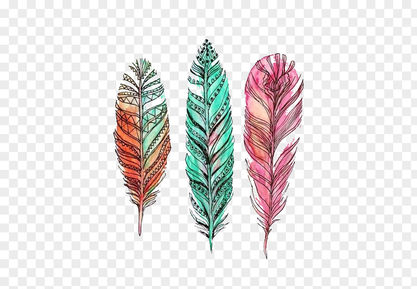 Feather Drawing Watercolor Painting PNG