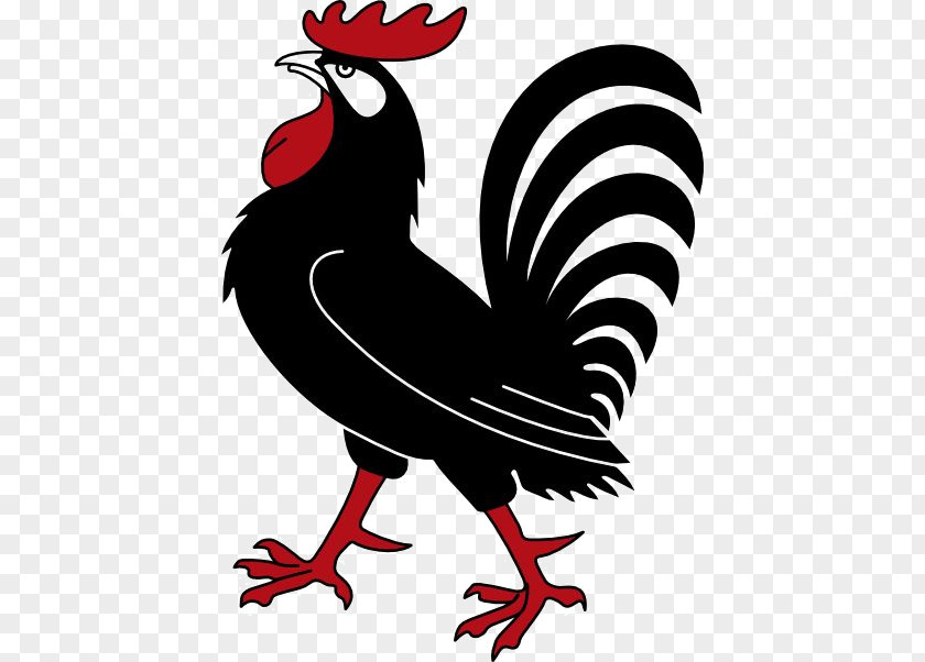 Foghorn Leghorn Chicken Rooster Vector Graphics Clip Art PNG