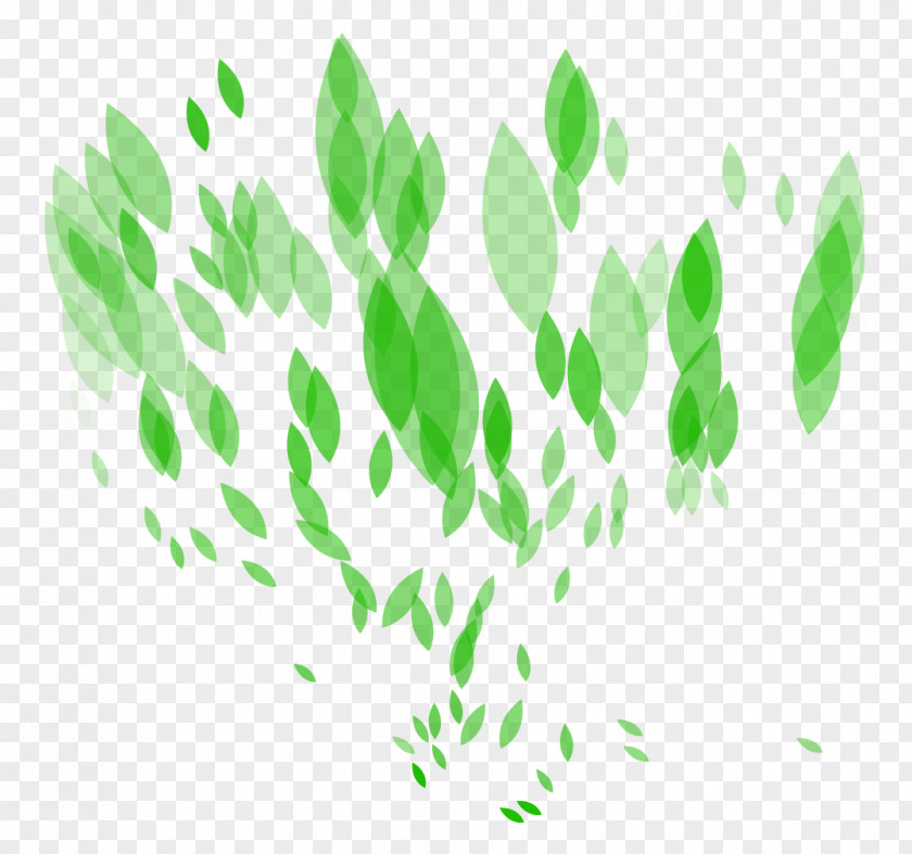Green Leaves Light Leaf PNG