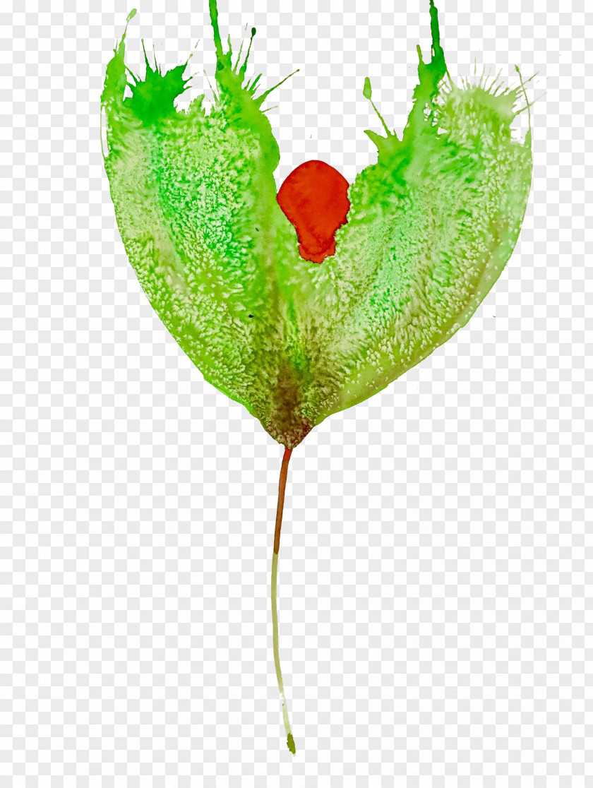 Leaf Plant Stem Petal Heart PNG