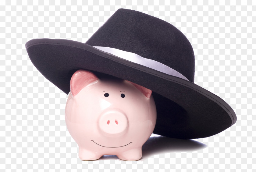 Piggy Bank Saving Stock Photography Money PNG