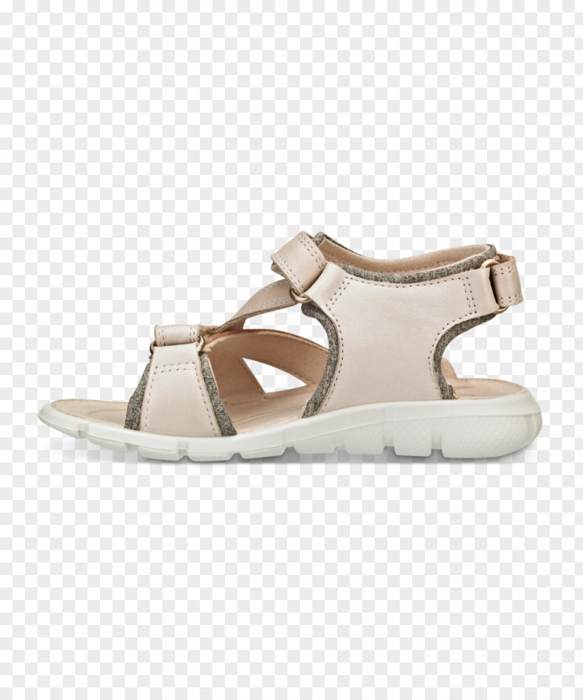 Sandal Slide Shoe Walking PNG