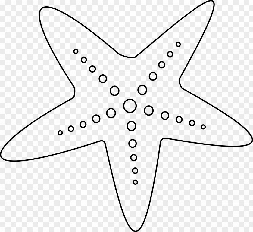 Sea Star Starfish Black And White Clip Art PNG