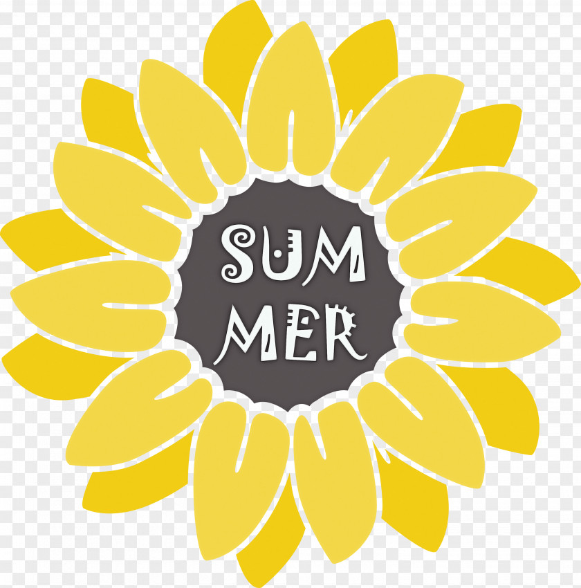 Summer Sunflower PNG