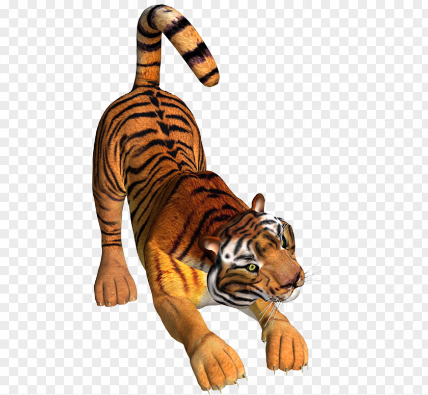 Tiger Picture Material Drawing Icon PNG