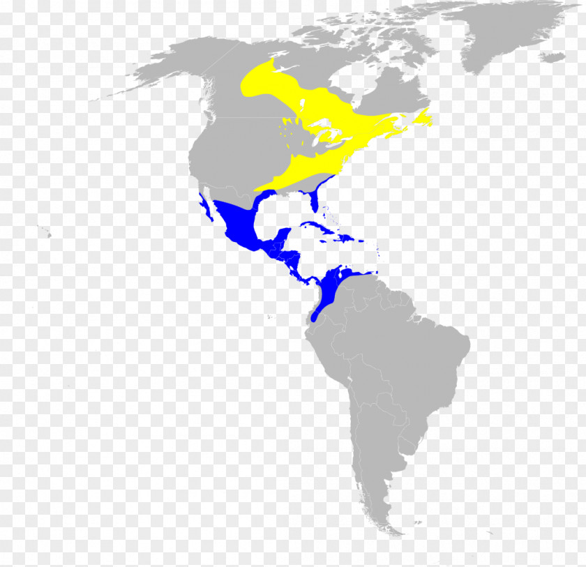 Varia United States Latin America World Map PNG