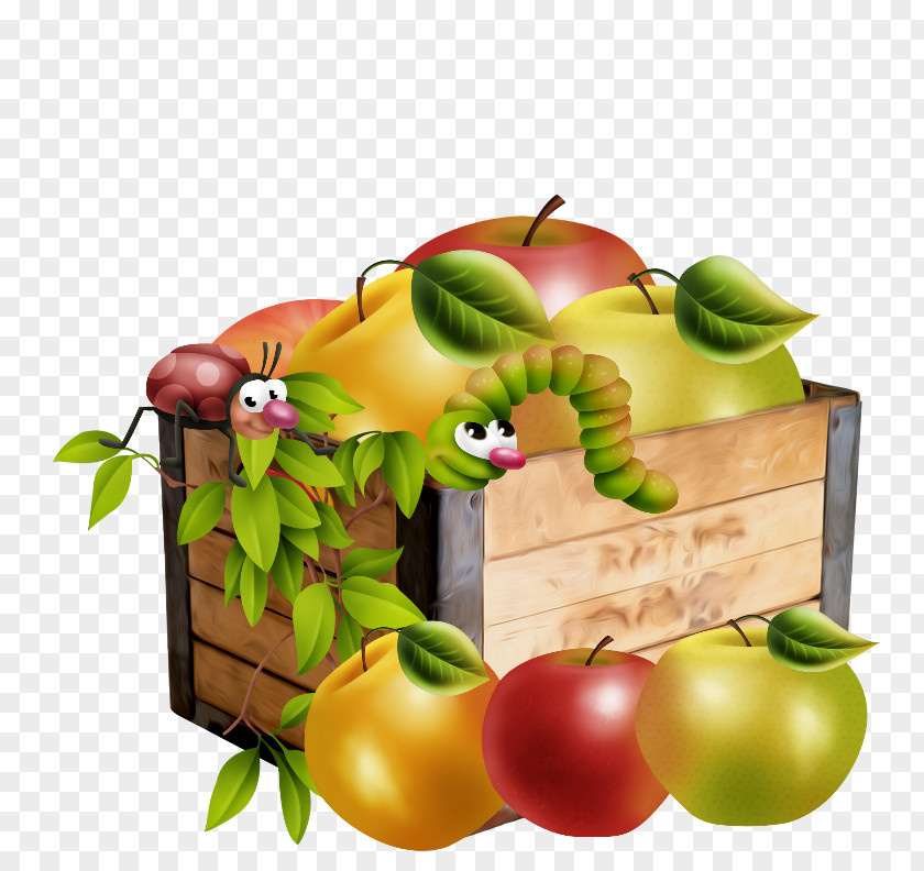 Vegan Nutrition Accessory Fruit Apple Background PNG