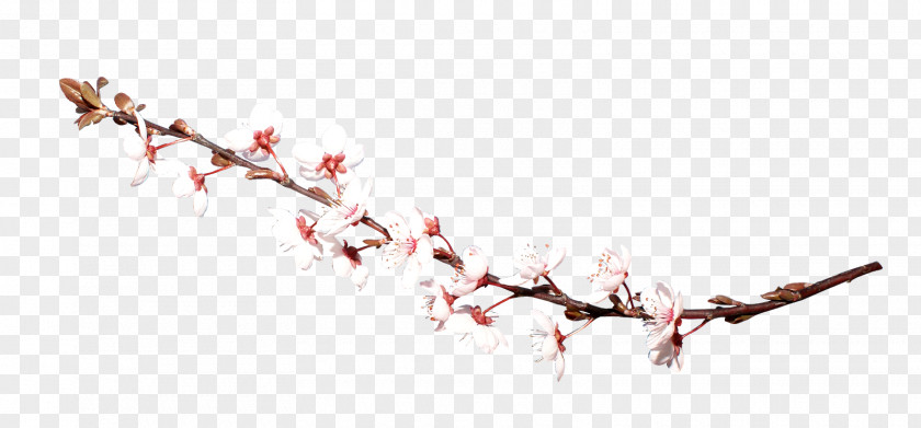 Violet China Twig Clip Art PNG