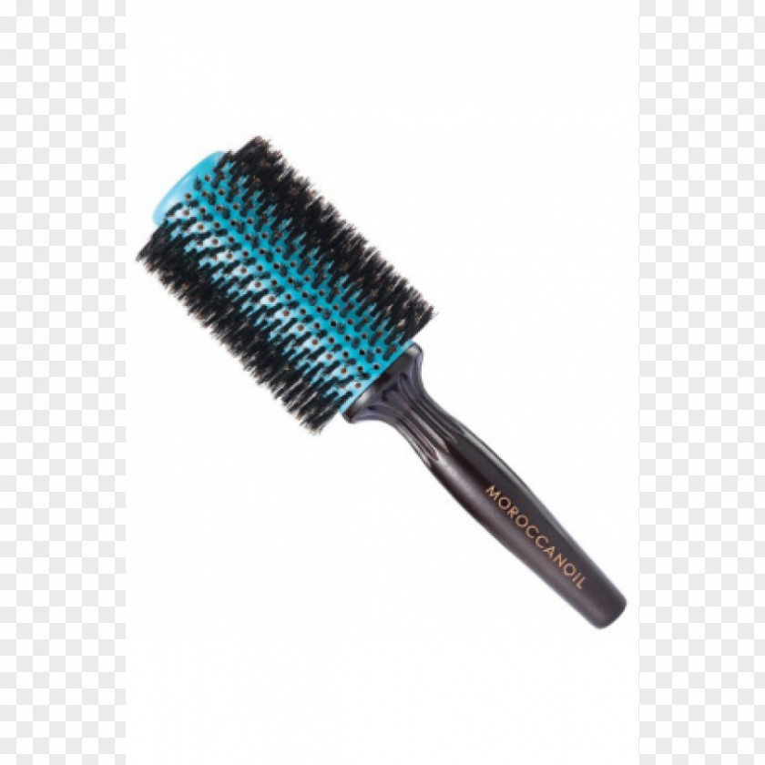 Boar Wild Hairbrush Bristle PNG