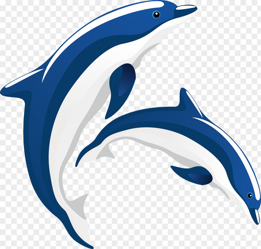 Cartoon Dolphin Common Bottlenose Tucuxi Short-beaked Painting PNG