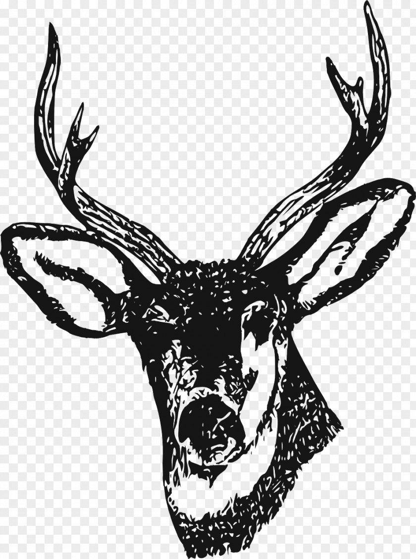 Deer White-tailed Clip Art Moose Red PNG