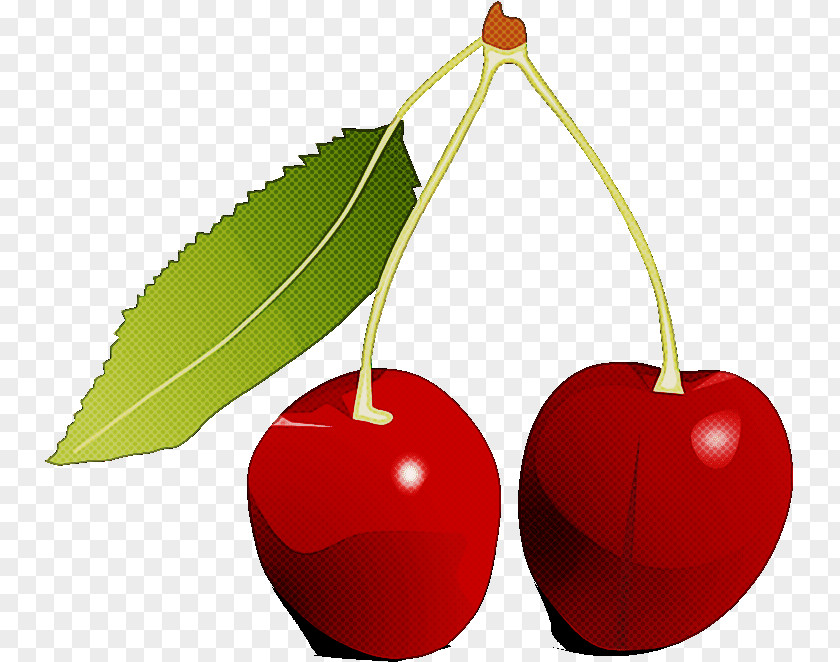 Drupe Food Cherry Plant Fruit Leaf Tree PNG