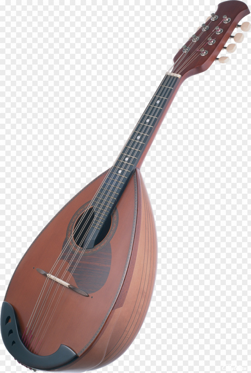 Flute Musical Instruments Mandolin Chord PNG