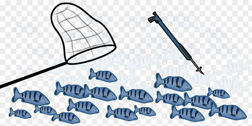 Go Fishing Opinion Poll Margin Of Error Clip Art PNG