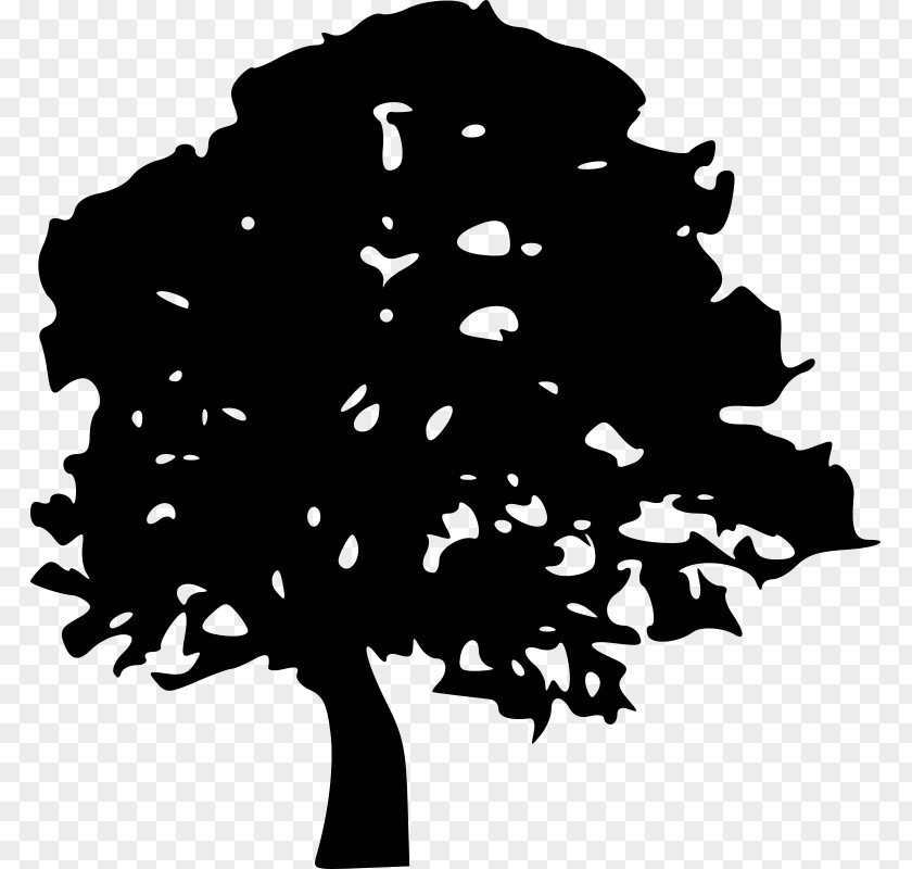 Tree Oak Clip Art PNG