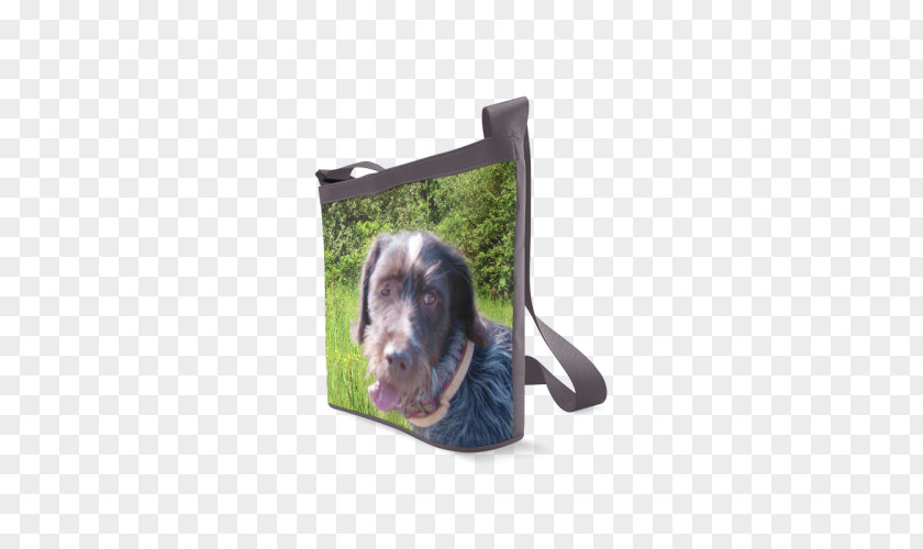 Wirehaired Pointing Griffon Dog Breed Puppy Snout Leash PNG