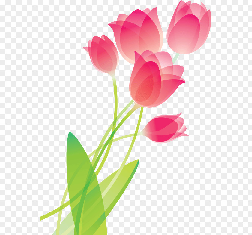Abstract Tulips Tulip Drawing Flower Clip Art PNG